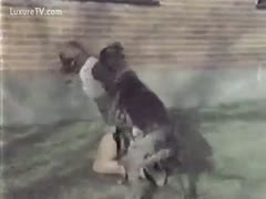After playing with her big dog, the wife in the short petticoat gets screwed.